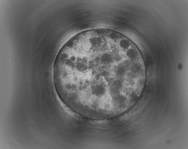 X0000094061047200711161520