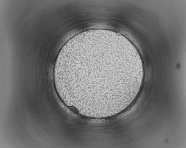 X0000094061049200711161520