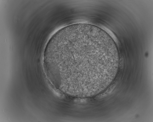 X0000094061051200711161520