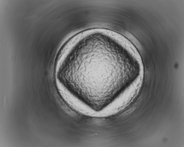 X0000094061052200711161520