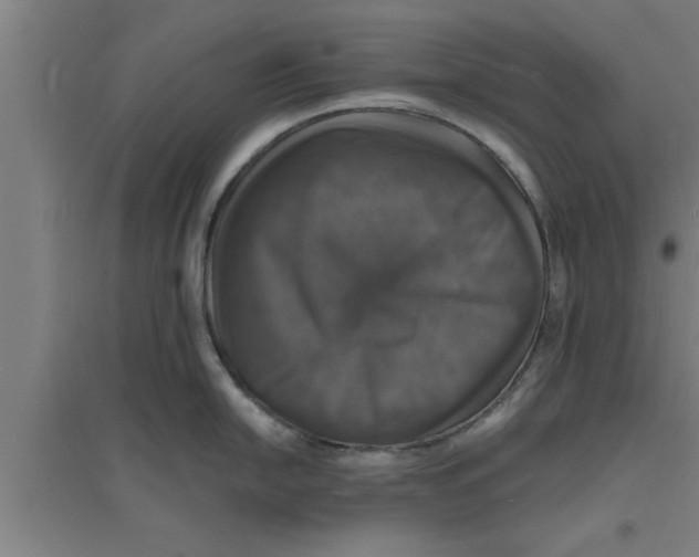 X0000094061054200711161520