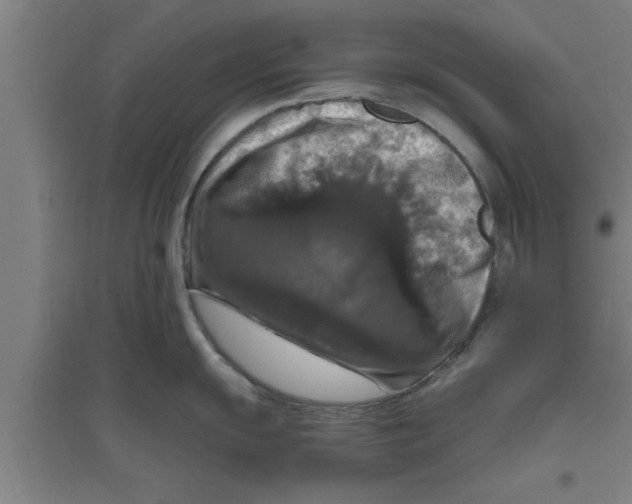 X0000094061055200711161520