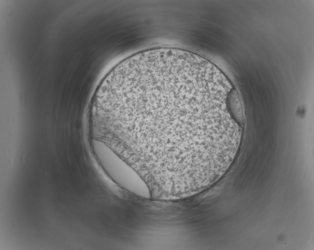 X0000094061056200711161520