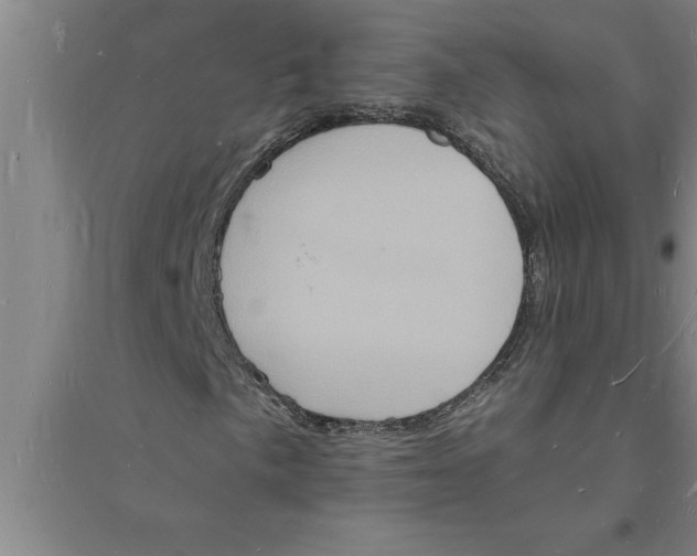 X0000094061057200711161519