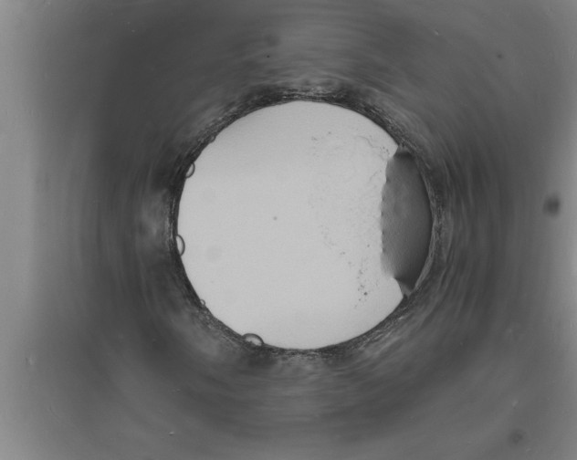 X0000094061058200711161519