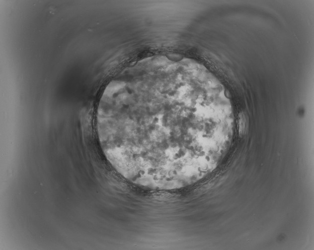 X0000094061059200711161519