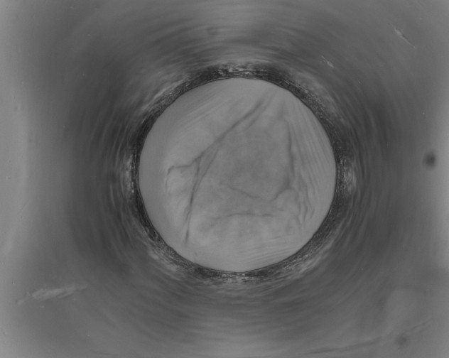 X0000094061060200711161519