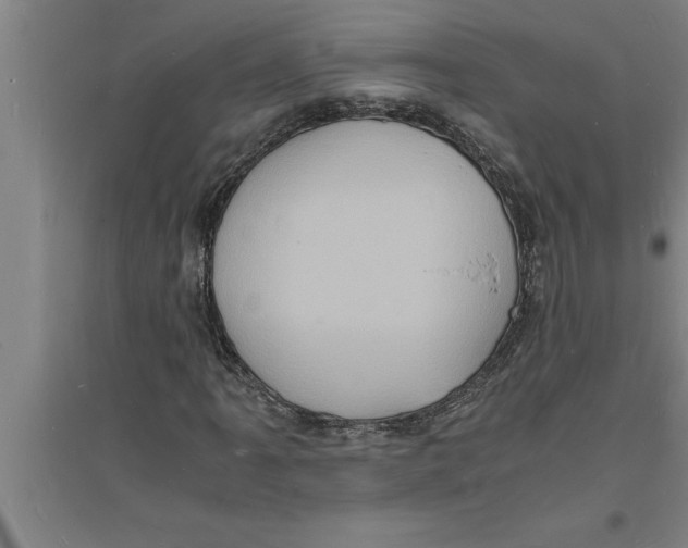 X0000094061061200711161519