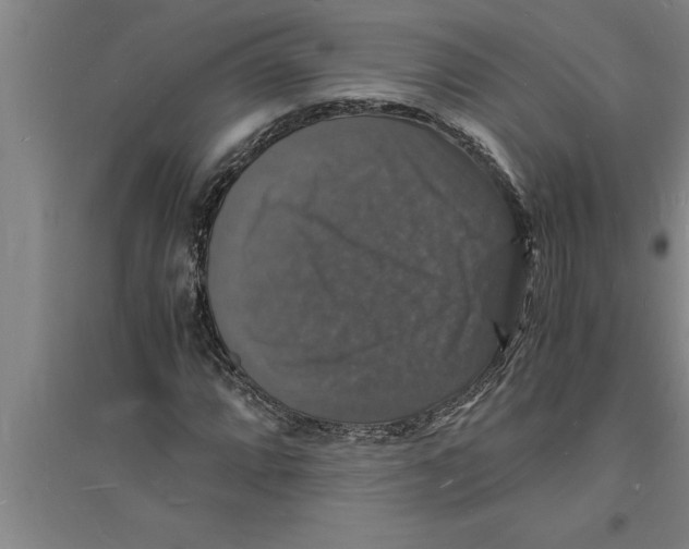 X0000094061064200711161519