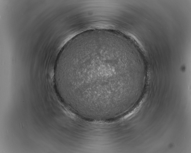 X0000094061065200711161519