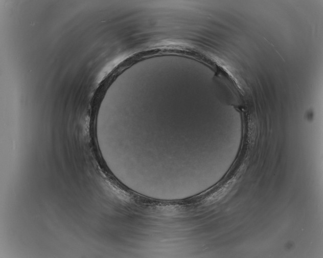 X0000094061066200711161519