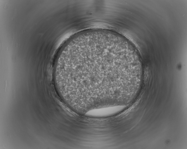 X0000094061067200711161519