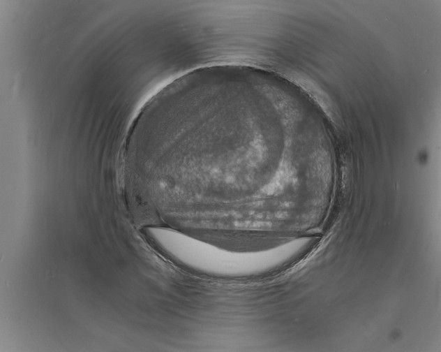 X0000094061069200711161519