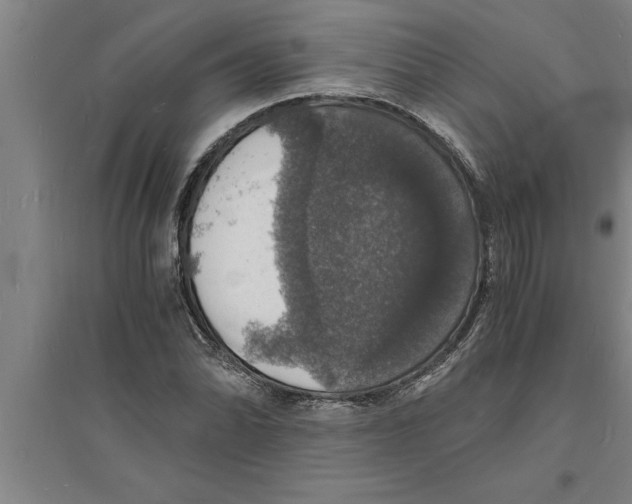 X0000094061070200711161519