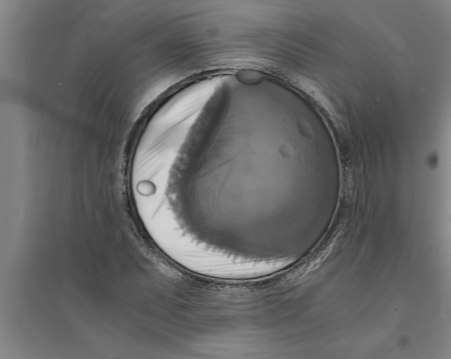 X0000094061071200711161519