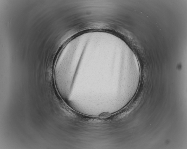 X0000094061073200711161519