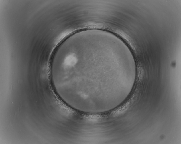 X0000094061074200711161519