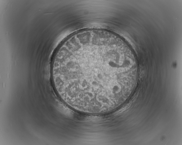 X0000094061075200711161519