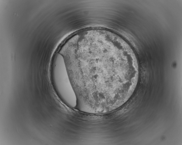 X0000094061076200711161519