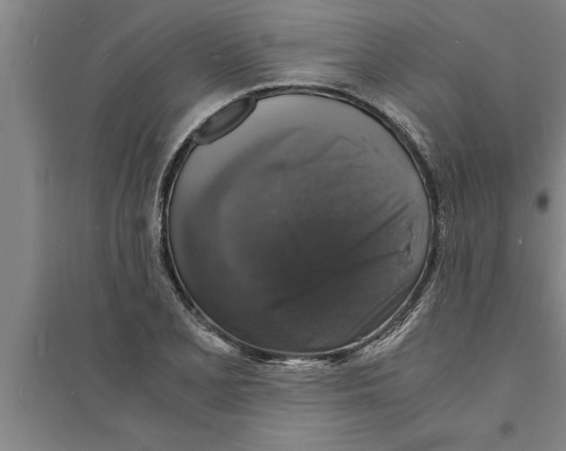 X0000094061077200711161519