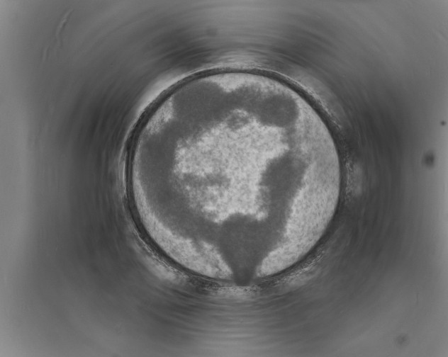 X0000094061078200711161519