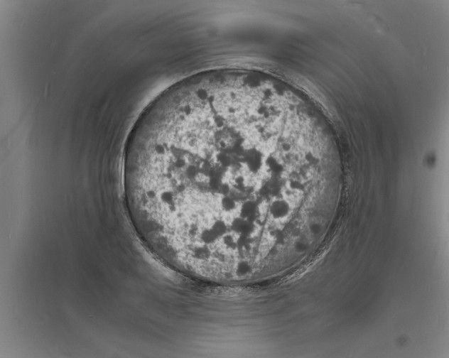 X0000094061079200711161519