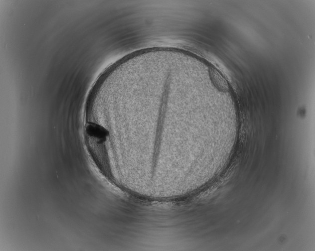 X0000094061080200711161519