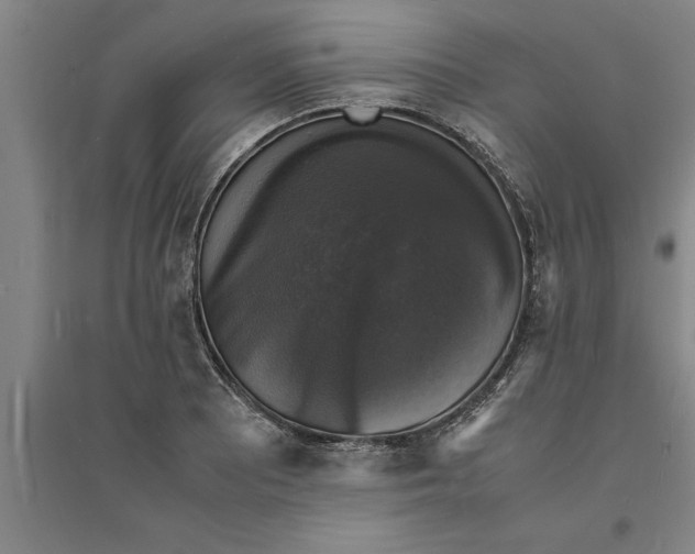 X0000094061081200711161519