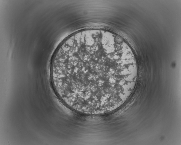 X0000094061083200711161519