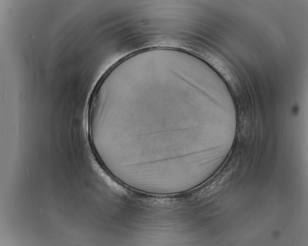 X0000094061084200711161519