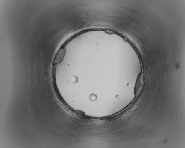 X0000094061085200711161519