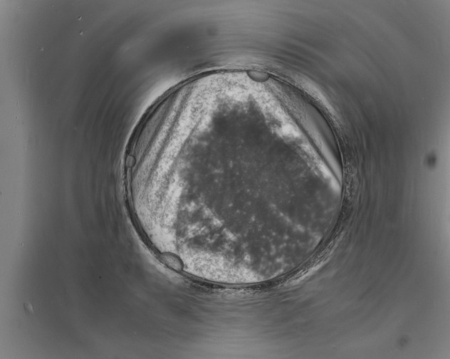 X0000094061087200711161519