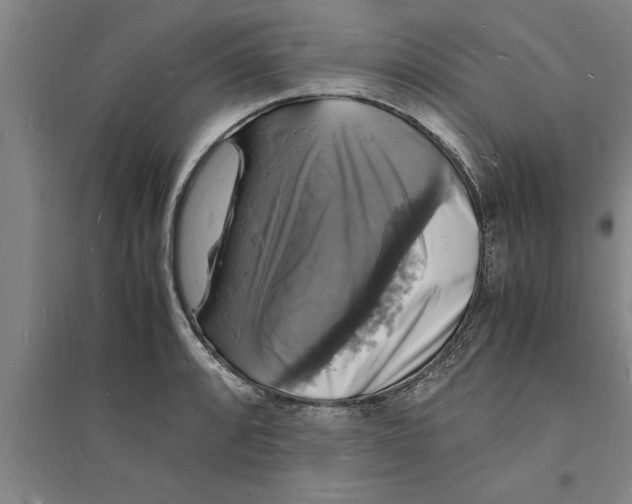 X0000094061088200711161519