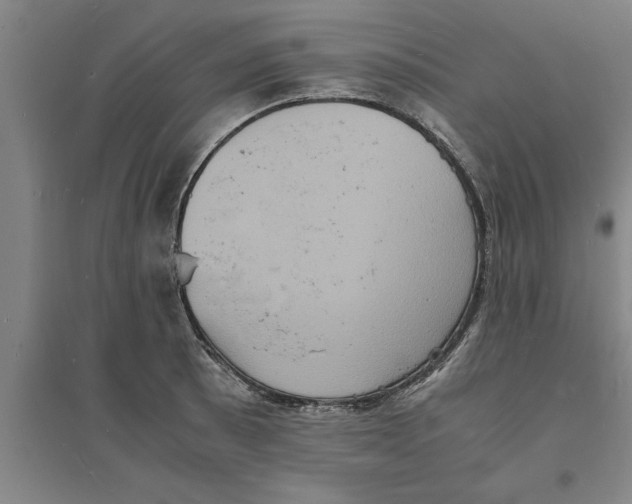 X0000094061089200711161519