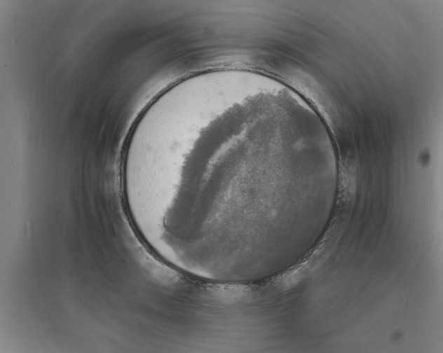 X0000094061090200711161519