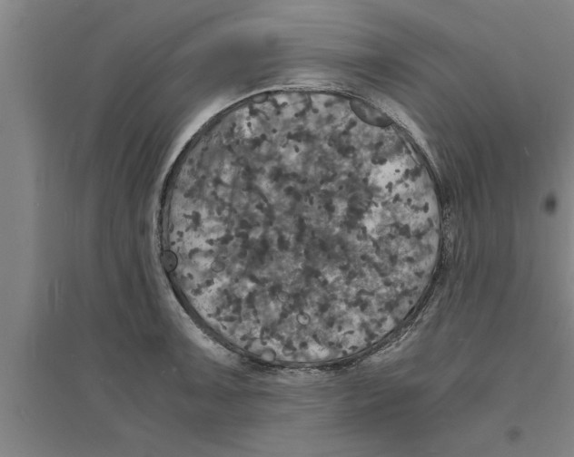 X0000094061091200711161519