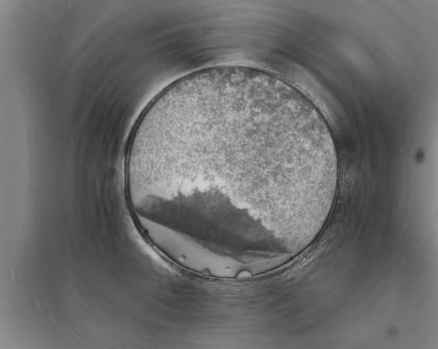 X0000094061092200711161519