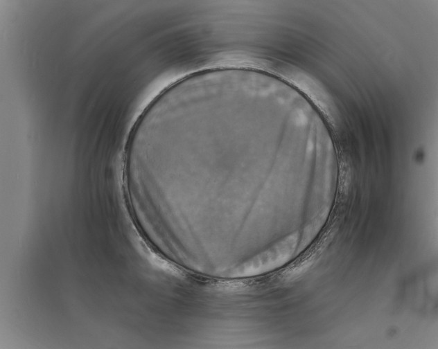 X0000094061094200711161519