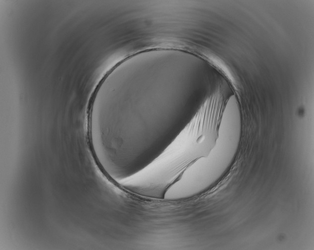 X0000094061095200711161519