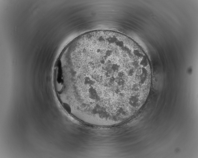 X0000094061096200711161519