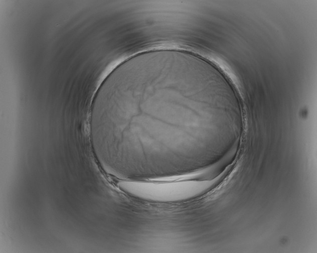 X0000094061097200711161519