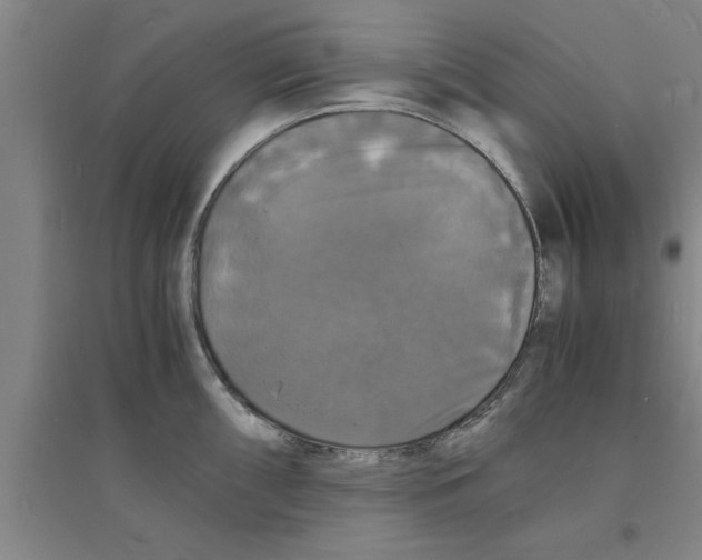 X0000094061098200711161519