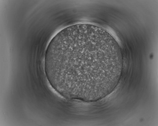 X0000094061100200711161519