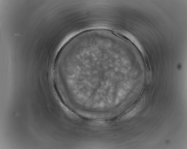 X0000094061101200711161519