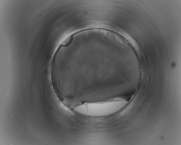 X0000094061102200711161519