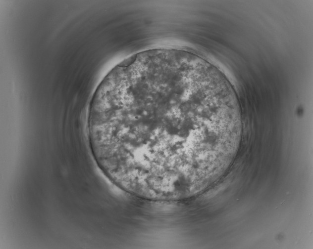 X0000094061103200711161519