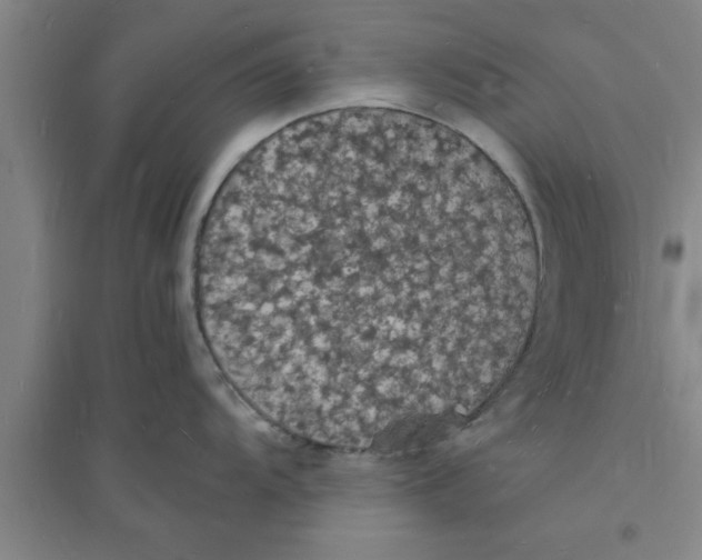 X0000094061104200711161519