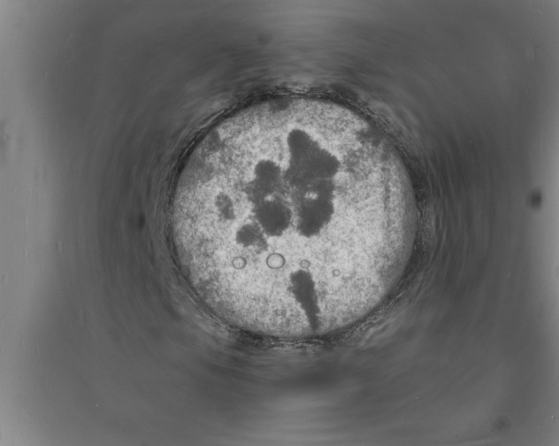 X0000094061105200711161518