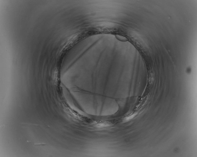 X0000094061108200711161518