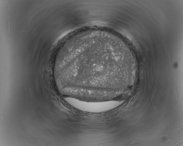 X0000094061112200711161518